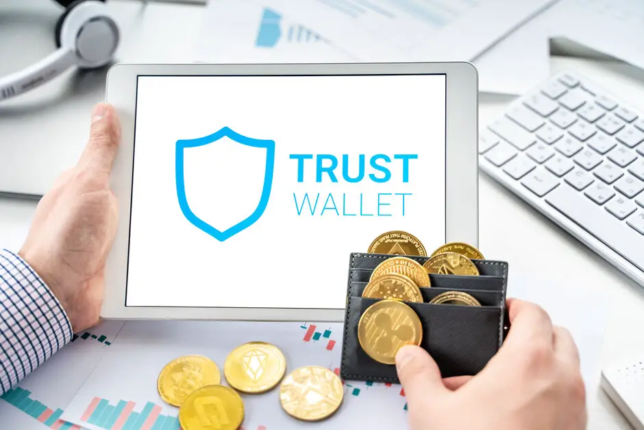 What is the Trust Wallet in Crypto?