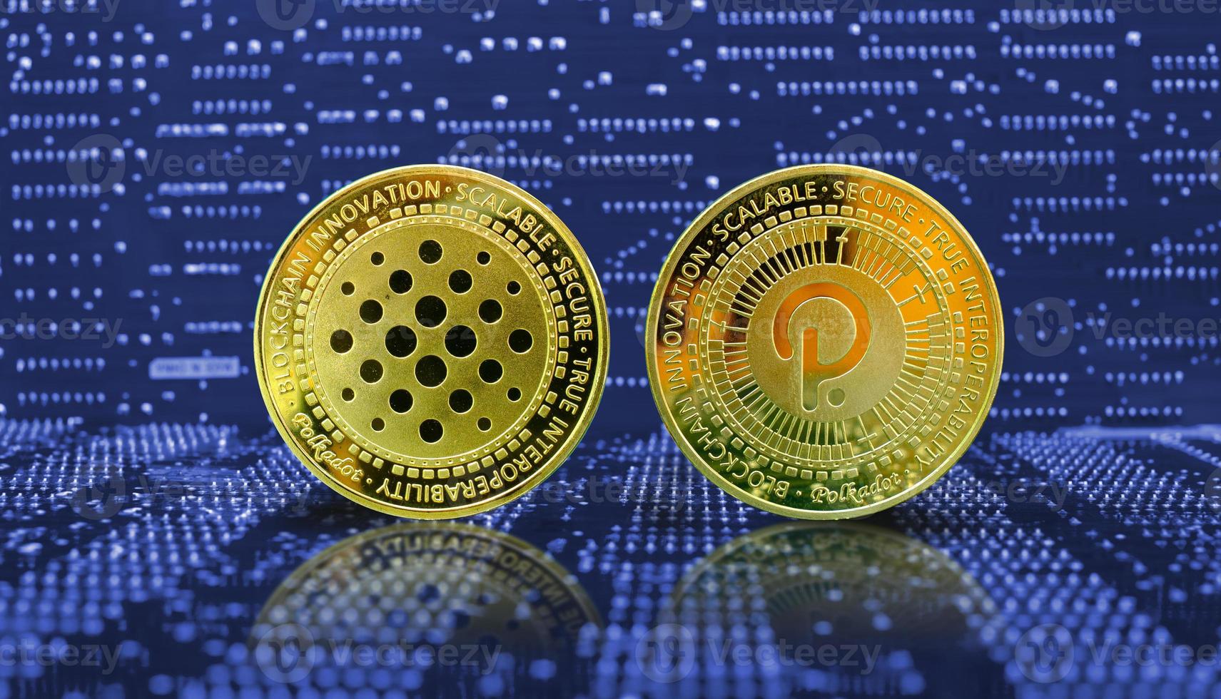 Does Polkadot coin have a future?