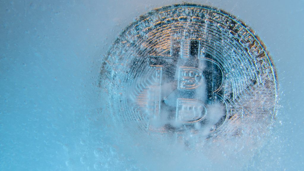 What is Crypto Winter?