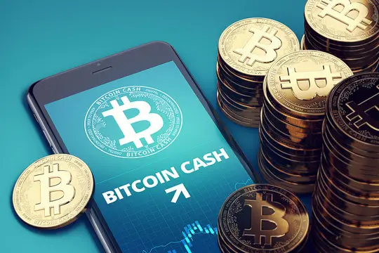 What is Bitcoin Cash in Crypto?