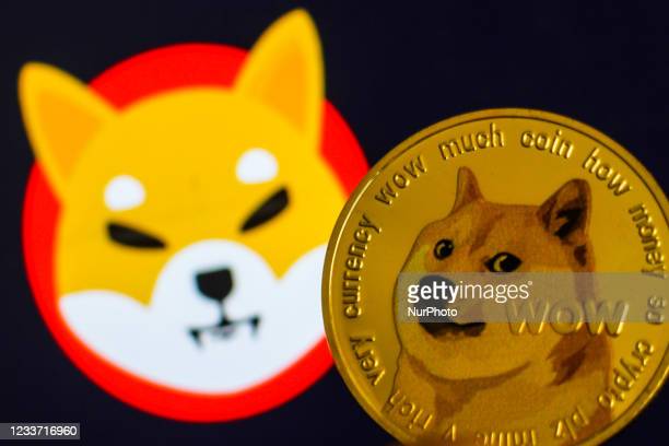 Is Shiba Inu coin worth buying?
