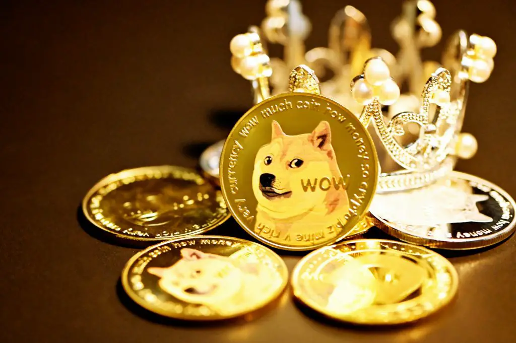 Will Dogecoin ever be Capped?