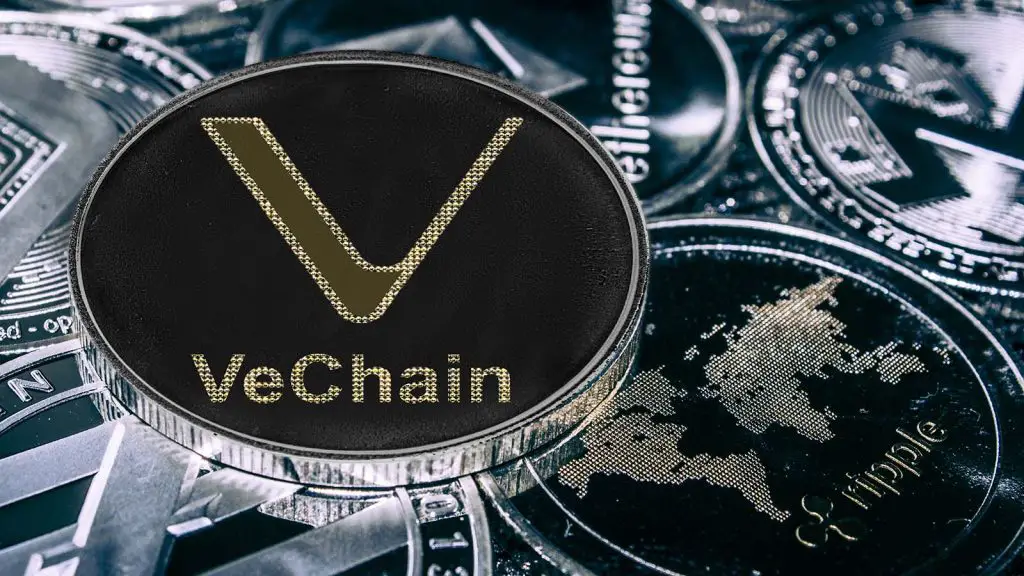 5 Ways to Start Mining VeChain