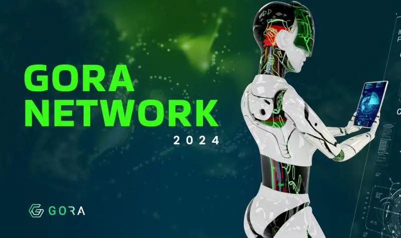 What is Gora Network?