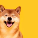 How to Cash Out Dogecoin?