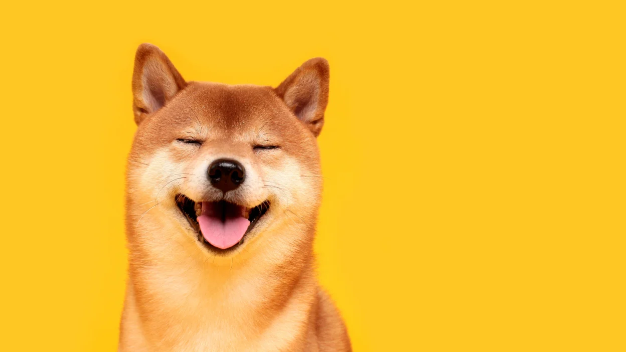 How to Cash Out Dogecoin?